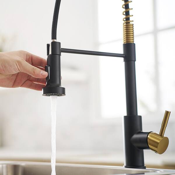 Tahanbath Commercial Black and Nickel Gold Kitchen Faucet with