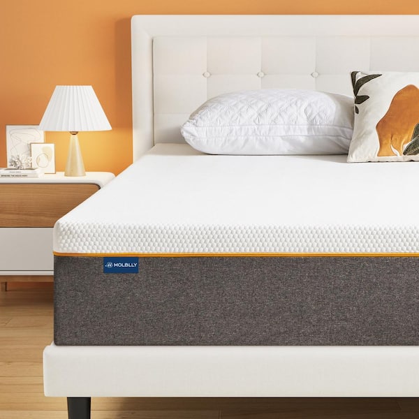 PICCHESS 10 in. Queen Size Medium Firm Memory Foam Mattress, Comfort and Support