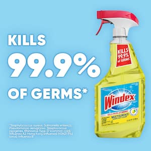 https://images.thdstatic.com/productImages/5cb0e1ce-e1c3-4460-abe9-60b864c6a53a/svn/windex-glass-cleaners-305498-e4_300.jpg