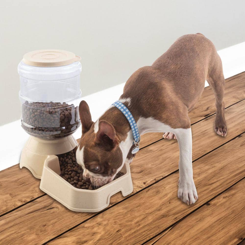 Beige and Clear Automatic Pet Feeder and Water Dispenser Set