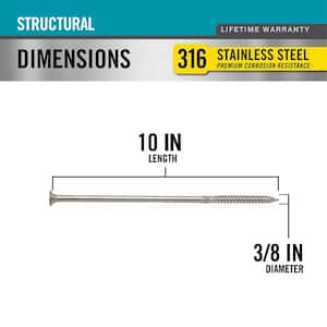 3/8 in. x 10 in. Star Drive Wafer Head Structural 316 Stainless Steel Screw