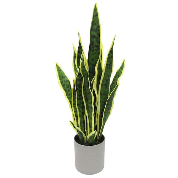 25 in. Green Yellow Sansevieria Artificial Snake Plant in Grey Pot