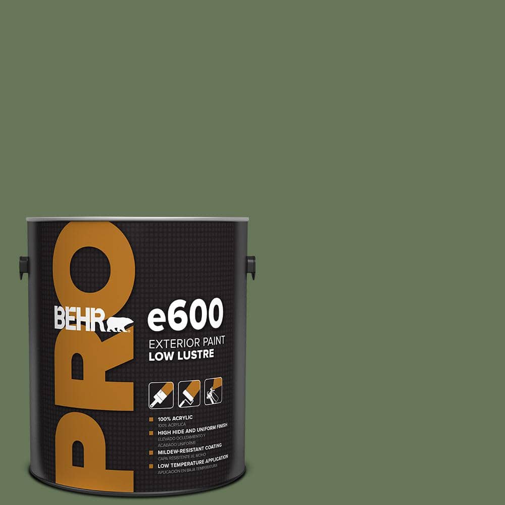 1 gal. #PPU10-01 Scallion Low Luster Exterior Paint price history on PriceWatchPro