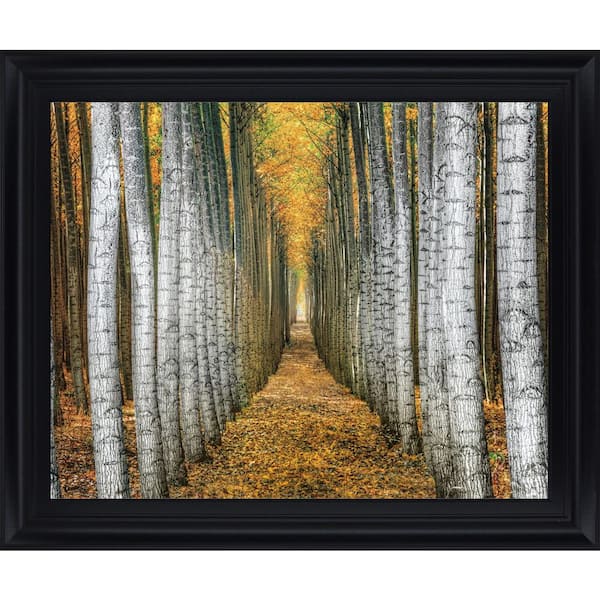 Classy Art "Tree Farm" By Cahill Framed Print Wall Art 28 in. x 34 in.