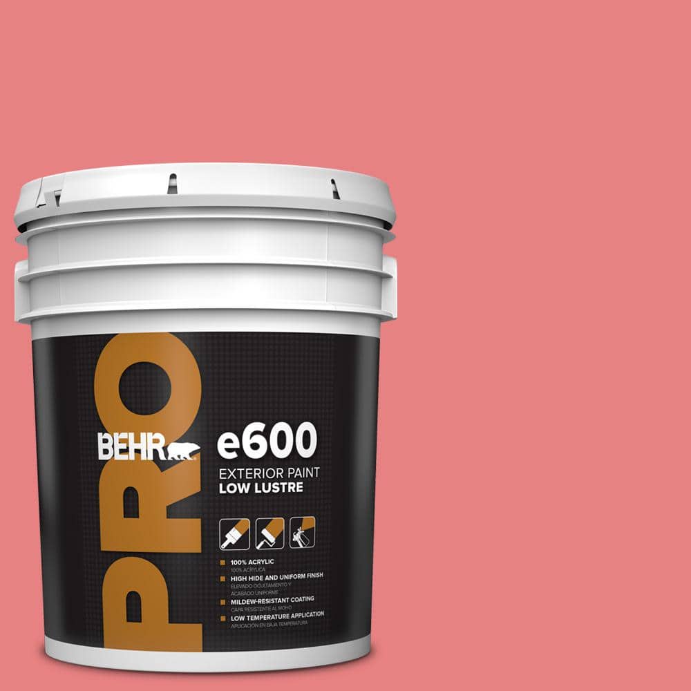 5 gal. #P170-4 Sugar Poppy Low Luster Exterior Paint price history on PriceWatchPro
