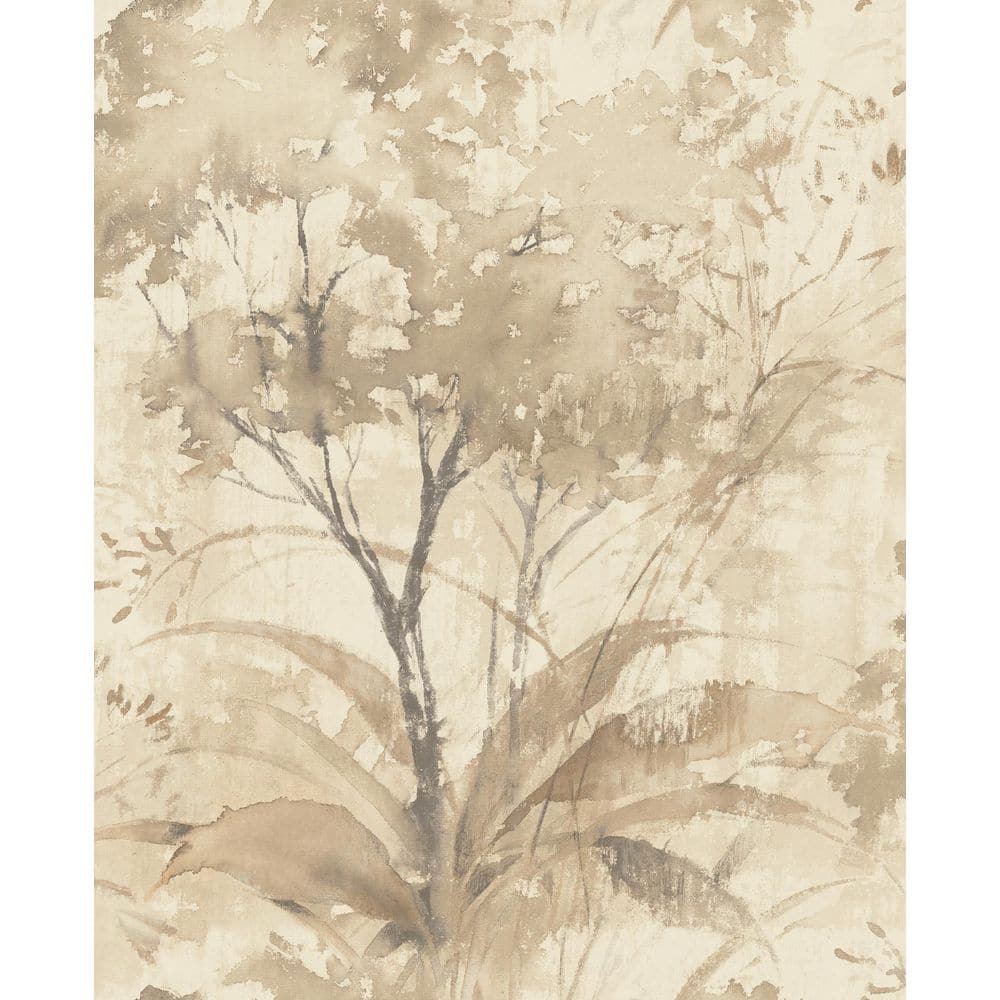Mistwood Coffee Forest Wallpaper price history on PriceWatchPro
