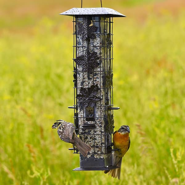 Squirrel resistant bird feeders hotsell
