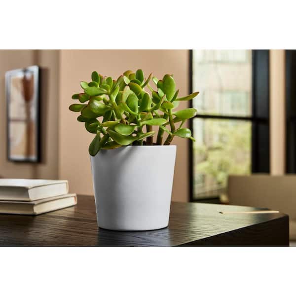4.9 in. Ivorie Small White Ceramic Flare Planter (4.9 in. D x 4.5 in. H)