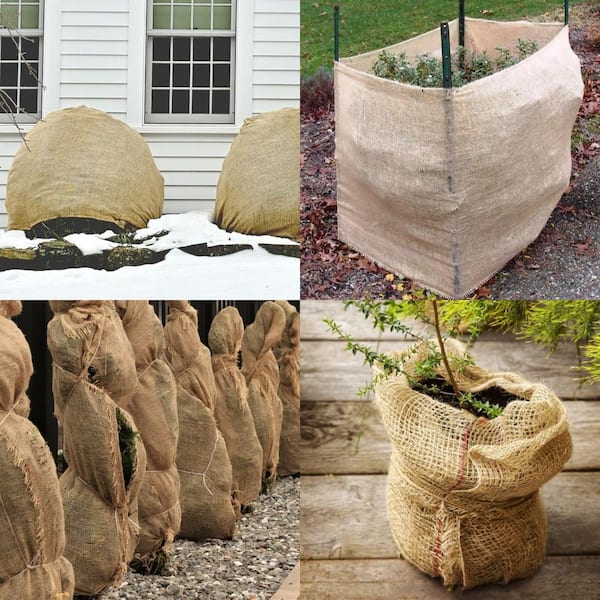 Wellco 2 ft. x 15 ft. Gardening Burlap Roll, Natural Burlap Fabric for Weed  Barrier, Tree Wrap, Plant Cover WEBLN620215
