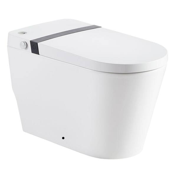 Aoibox 1-Piece 1.1/1.6 GPF Elongated Dual Flush Water saving Toilet in.  White, Seat Included SNMX410 - The Home Depot