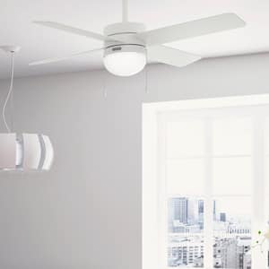 Timpani 52 in. Indoor Fresh White Ceiling Fan with Light Kit Included