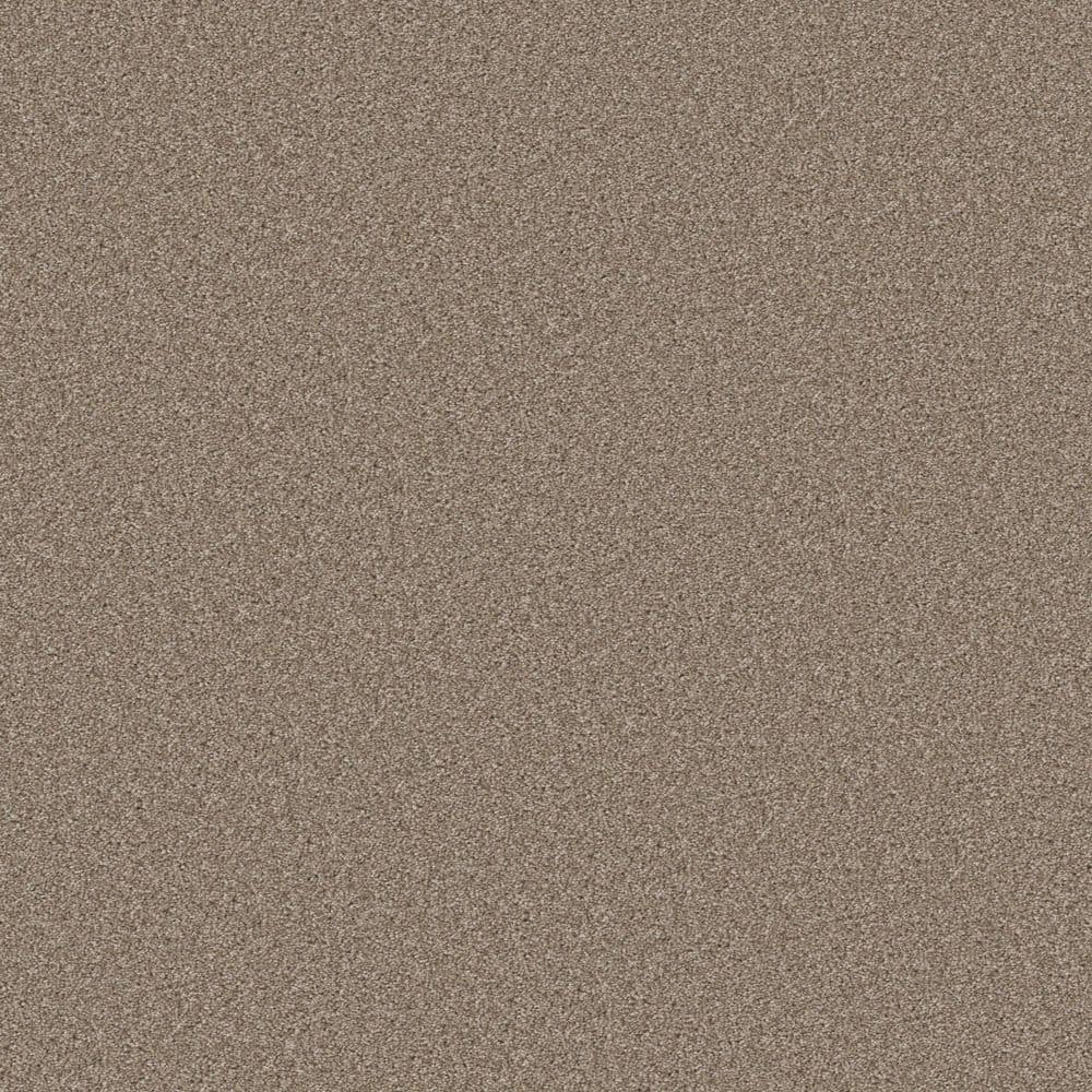 8 in. x 8 in. Texture Carpet Sample - Gifted Moments II - Color Twine price history on PriceWatchPro