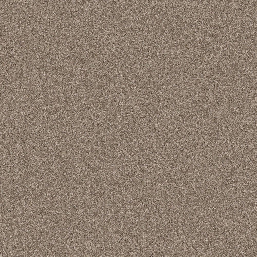 8 in. x 8 in. Texture Carpet Sample - Gifted Moments I - Color Twine price history on PriceWatchPro