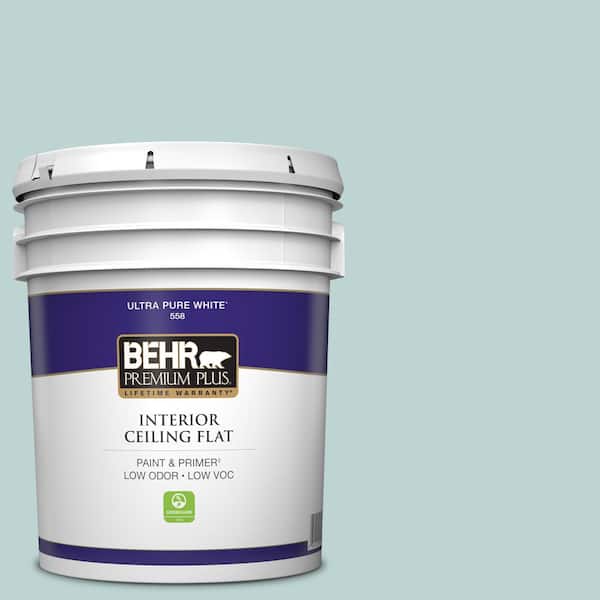 5 gal. #500E-3 Rain Washed Ceiling Flat Interior Paint