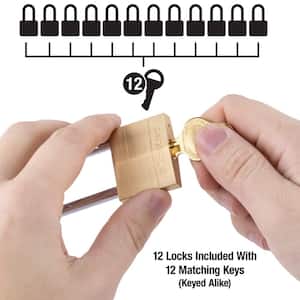 Lock with Key, 1-9/16 in. Wide, 2 in. Shackle, 12 Pack (Keyed Alike)
