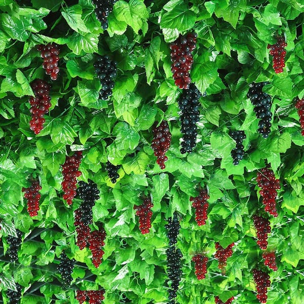 3 in. 5-Pieces Artificial Green Family Grapevine Vine Realistic