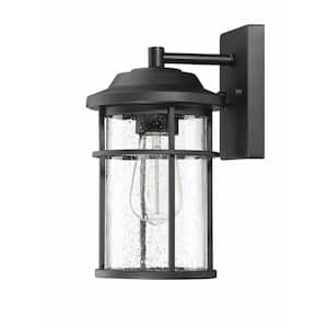 Martin 1-Light Matte Black Outdoor Wall Lantern Sconce with Seeded Glass shade