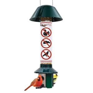 Metal Pest Off Squirrel Proof Mixed Seed and Sunflower Bird Feeder