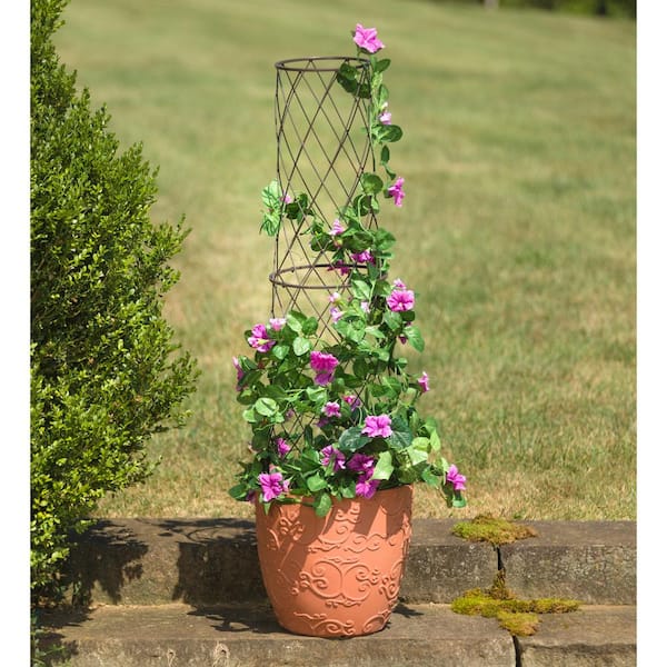 Image of Potted trellis planter with flowers