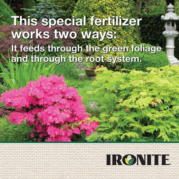 https://images.thdstatic.com/productImages/5cce425e-4916-49e4-9408-08ccd63886a1/svn/ironite-lawn-fertilizers-100525937-76_600.jpg