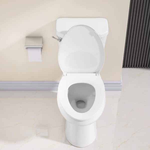 Have a question about Zeafive Ace 19 in. Height Two Piece Toilets