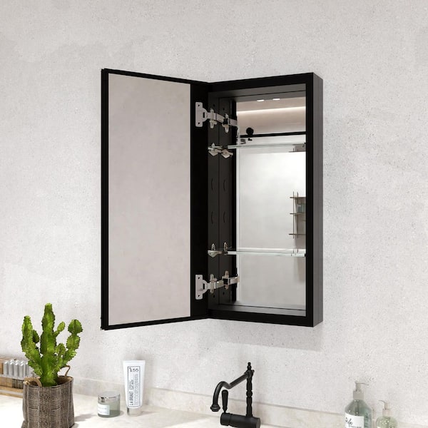 Flicker 12 in. W x 24 in. H Rectangular Aluminum Recessed/Surface Mount Medicine Cabinet with Mirror in Black