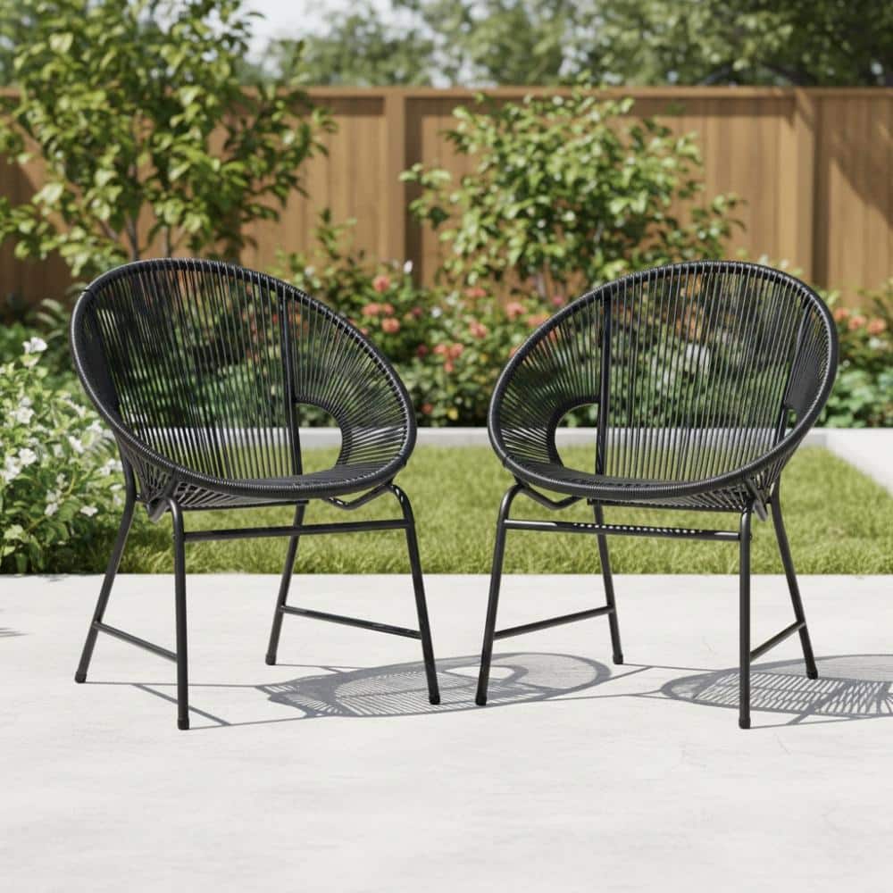 Black Iron Frame Outdoor Wicker Dining Chair  for Garden, Poolside, Backyard (Set of 2) price history on PriceWatchPro