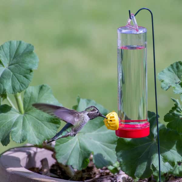 Perky-Pet 2 Pack of 215P Planter Box Plastic Hummingbird Feeder with Hanger 3 Ounce Capacity Perky-Pet 2 Pack of 215P Planter Box Plastic Hummingbird Feeder with Hanger 3 Ounce Capacity