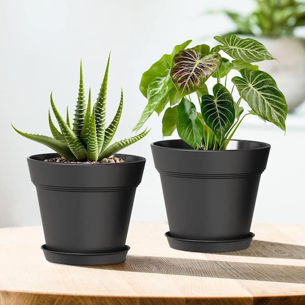Cubilan Plastic Plant Pots with Drainage Holes and Trays, Seedling Starter Planters, Black, 8-Pack (4 in. W x 3.4 in. H)