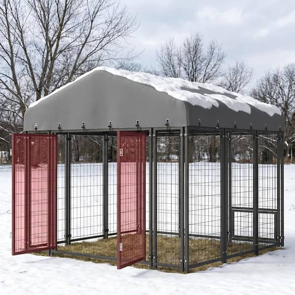 Sweecci 6 ft. x 6 ft. Large Dog Kennel Outdoor Dog Enclosure with ...
