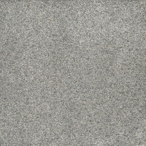 Brightstone I - Treasure - Gray 40 oz. SD Polyester Texture Installed Carpet
