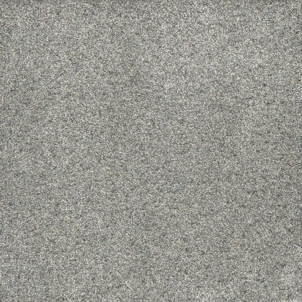 Home Decorators Collection Brightstone I - Treasure - Gray 40 oz. SD Polyester Texture Installed Carpet