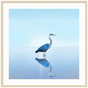 "Beachscape Heron II" by James McLoughlin 1 Piece Wood Framed Color Animal Photography Wall Art 41-in. x 41-in. .