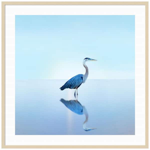 Amanti Art "Beachscape Heron II" by James McLoughlin 1 Piece Wood Framed Color Animal Photography Wall Art 41-in. x 41-in. .