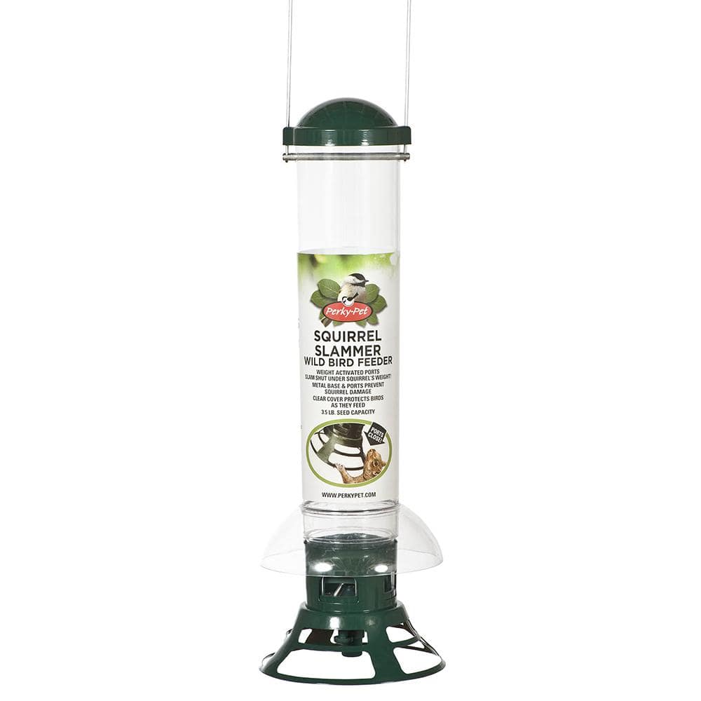 Green and Clear Squirrel Resistant Hanging Tube Bird Feeder