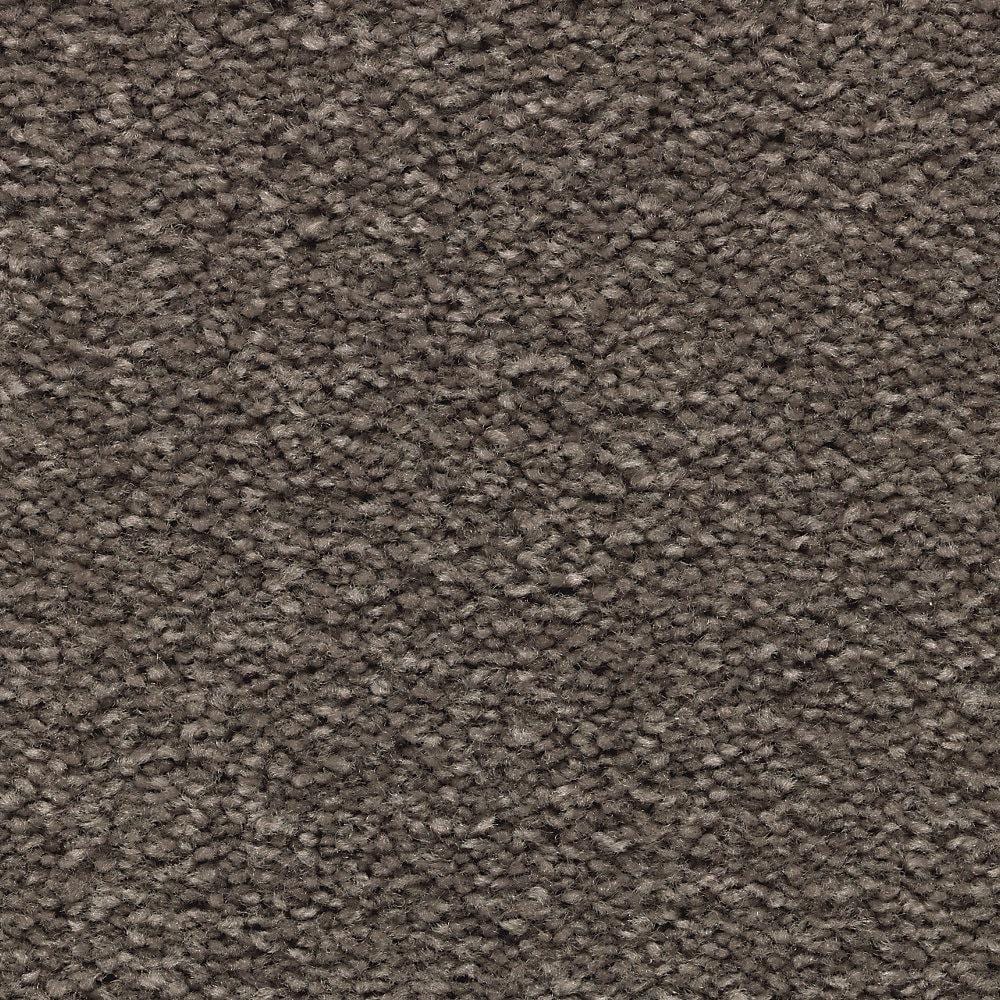 8 in. x 8 in. Texture Carpet Sample - Unblemished I -Color Battleship price history on PriceWatchPro