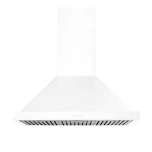 48 in. 1000 CFM Ducted Wall Mounted Ventilation Hood in White with Lights