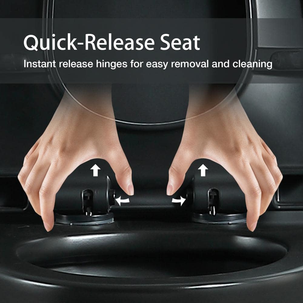 Matte Black Ceramic Dual Flush Elongated One-Piece Toilet