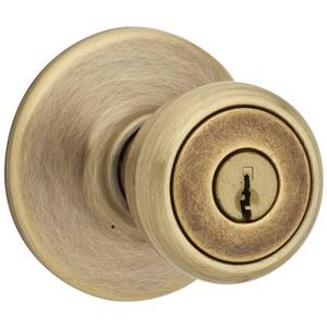 Tylo Antique Brass Exterior Entry Door Knob Featuring Microban Antimicrobial Technology