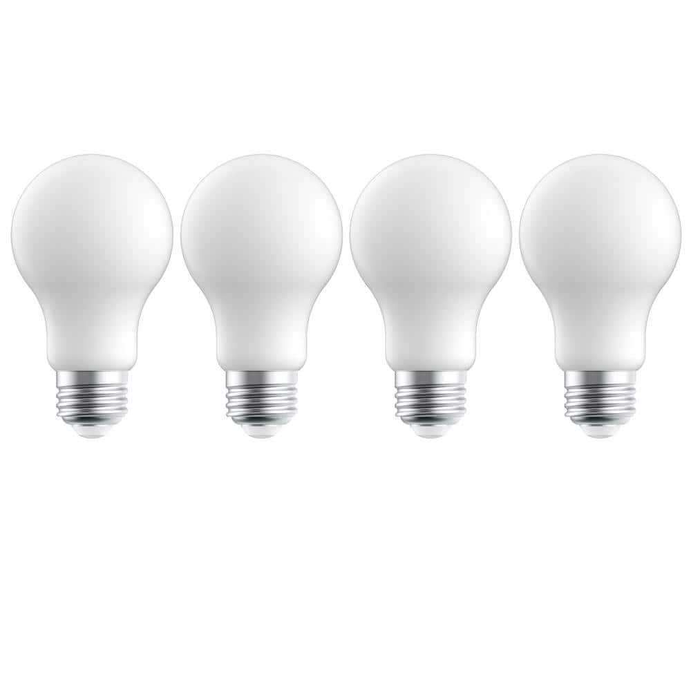 25-Watt Equivalent A19 Dimmable Frosted Glass Filament LED Light Bulb Soft White 2700K (4-Pack) -  EcoSmart, FG-04420