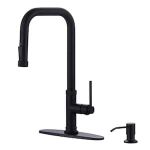 Matte Black Single Handle Pull Out Sprayer Kitchen Faucet Deckplate Included in Stainless
