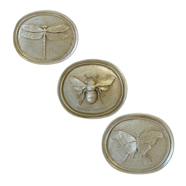 Unbranded Cristal Color Resin 8 in. W x 7 in. H Oval Entomology Insect Plaques, Home Wall Decor (Set of 3)