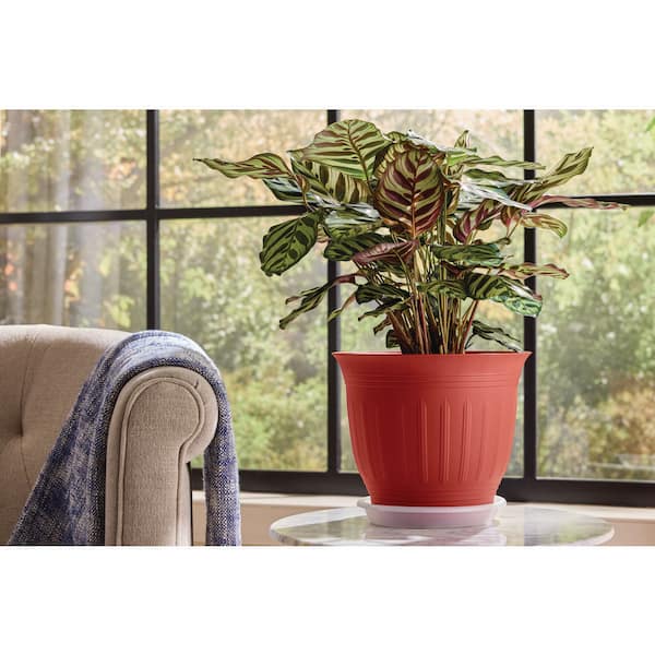 8 in. Dia Heavy-Duty Plastic Planter Saucer