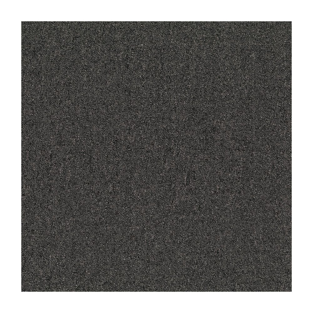 24 in. x 24 in. Textured Loop Carpet - Advance -Color Denim price history on PriceWatchPro