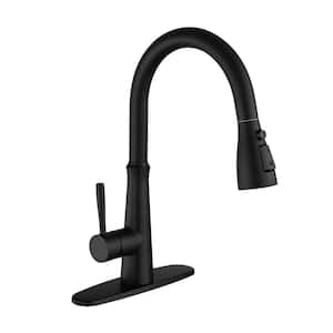 Single-Handle Pull Down Sprayer Kitchen Faucet with Advanced Spray in Matte Black