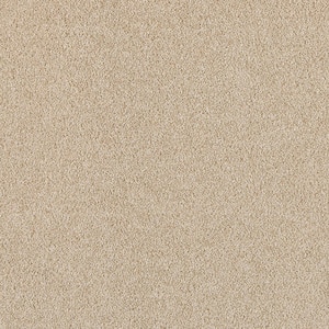 Tailored Trends I Royal Beige 15 ft. 34 oz. Polyester Textured Installed Carpet