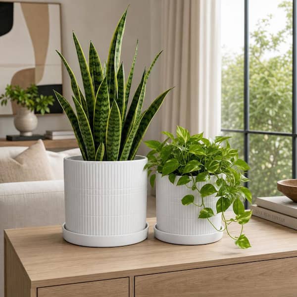 DANYA B Milo Modern Mortar Two Tone Flower Pot Planter Cachepot