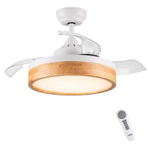 36 in. Integrated LED Indoor White Plus Walnut Ceiling Fan with Remote