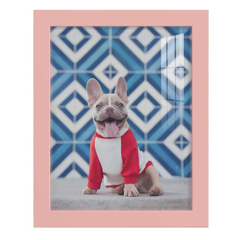 Wexford Home Modern 8 in. x 10 in. Pink Picture Frame WF012F The Home Depot