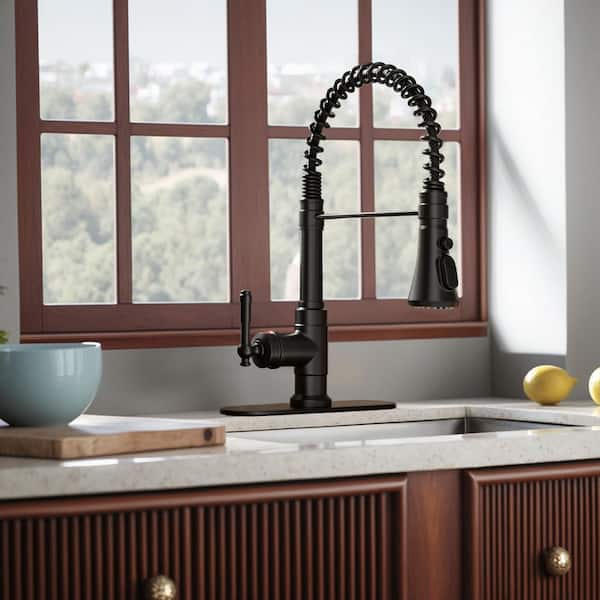 Single Handle Pull Down Sprayer Kitchen Faucet with Deck Plate and Swivel Spoutin Black